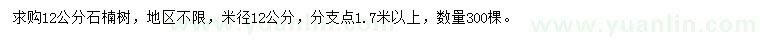求購12公分石楠樹