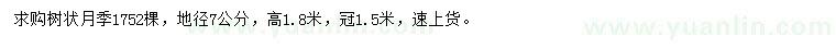 求購(gòu)地徑7公分樹狀月季