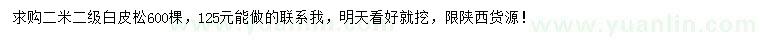 求購2米白皮松