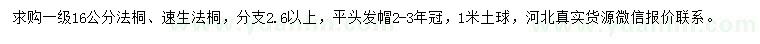 求購16公分法桐、速生法桐