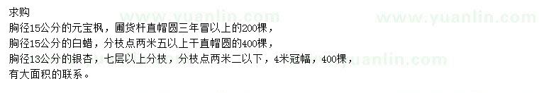 求購元寶楓、白蠟、銀杏