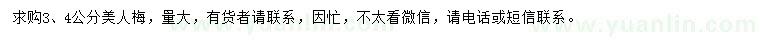 求購3、4公分美人梅