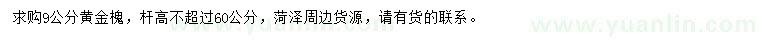 求購9公分黃金槐