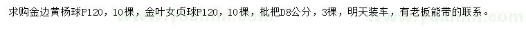 求購:金邊黃楊球、金葉女貞球、枇杷