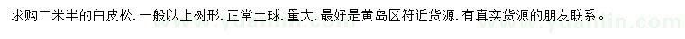 求購2.5米白皮松
