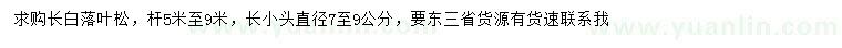 求購7-9公分長(zhǎng)白落葉松