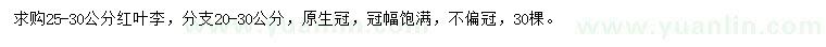 求購25-30公分紅葉李