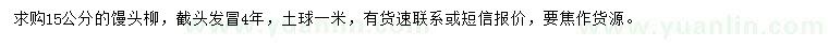 求購15公分饅頭柳