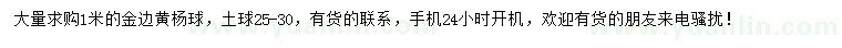求購1米金邊黃楊球