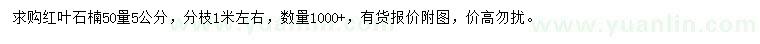 求購50量5公分紅葉石楠