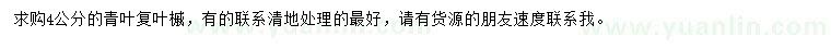 求購4公分青葉復(fù)葉槭