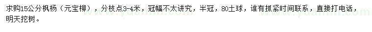 求購15公分楓楊（元寶柳）
