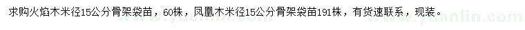 求購米徑15公分火焰木、鳳凰木