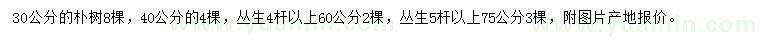 求購30、40公分、叢生4、5桿以上樸樹