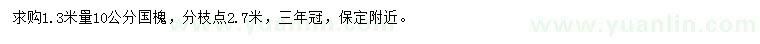 求購1.3米量10公分國槐