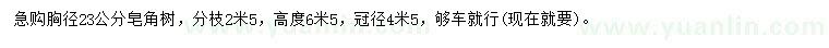 求購(gòu)胸徑23公分皂角樹