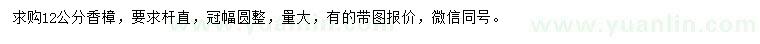 求購(gòu)12公分香樟