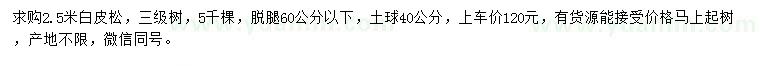 求購2.5米白皮松