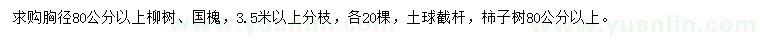 求購(gòu)柳樹(shù)、國(guó)槐、柿子樹(shù)
