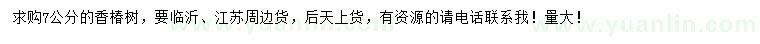 求購7公分香椿樹