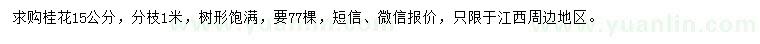 求購15公分桂花