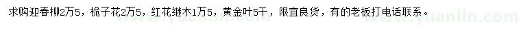 求購迎春柳、桅子花、紅花繼木等