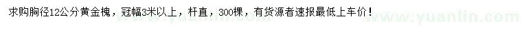求購胸徑12公分黃金槐