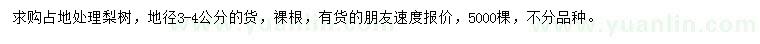 求購地徑3-4公分梨樹