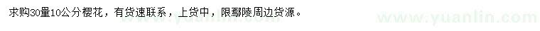 求購30量10公分櫻花