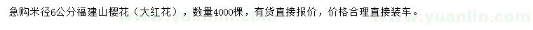 求購米徑6公分福建山櫻花