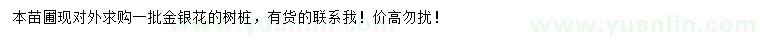 求購金銀花樹樁