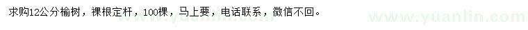 求購12公分榆樹