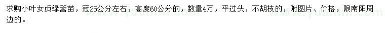 求購高度60公分小葉女貞綠籬苗
