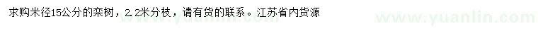 求購米徑15公分欒樹