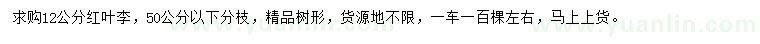 求購(gòu)12公分紅葉李