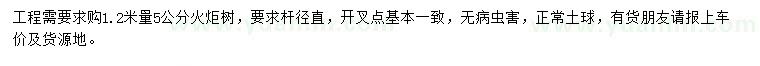 求購1.2米量5公分火炬樹