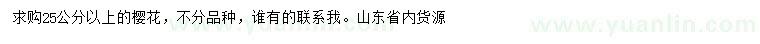 求購25公分以上櫻花