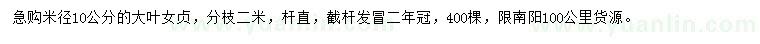 求購米徑10公分大葉女貞