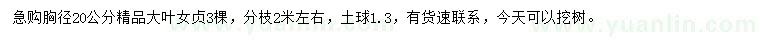 求購胸徑20公分大葉女貞