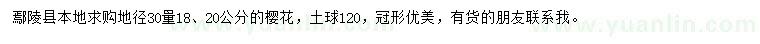 求購地徑30量18、20公分櫻花