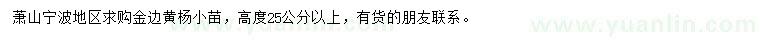 求購高25公分以上金邊黃楊小苗