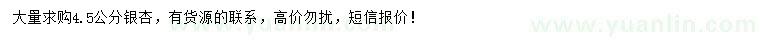 求購4.5公分銀杏