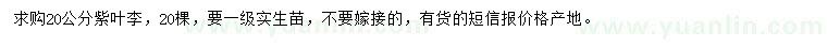 求購20公分紫葉李