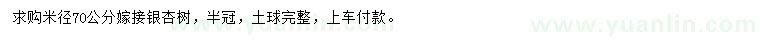 求購米徑70公分嫁接銀杏樹