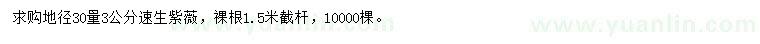 求購30量3公分速生紫薇