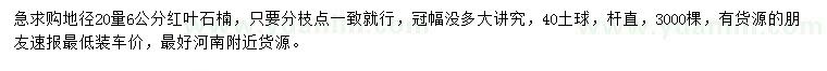 求購20量6公分紅葉石楠