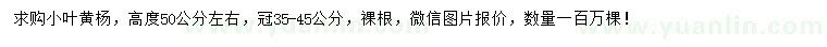 求購高50公分小葉黃楊小苗