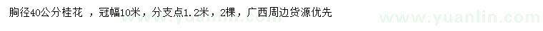 求購(gòu)胸徑40公分桂花