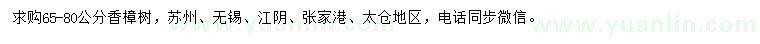 求購(gòu)65-80公分香樟樹(shù)
