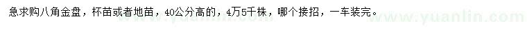 求購高40公分八角金盤